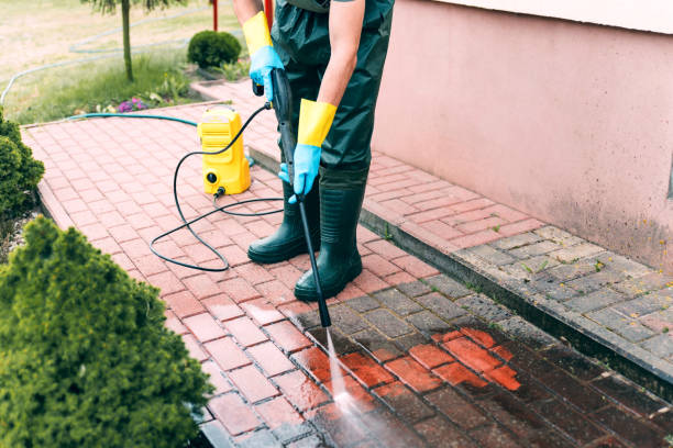 Best Driveway Pressure Washing  in Speedway, IN